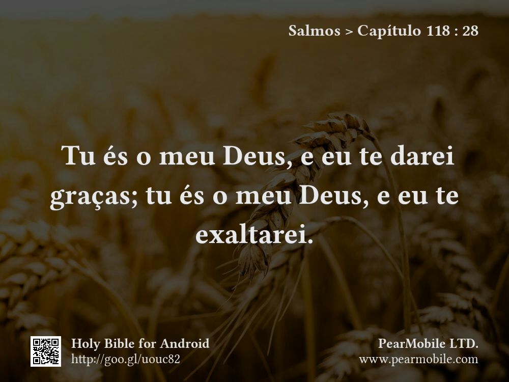 Salmos, Capítulo 118:28